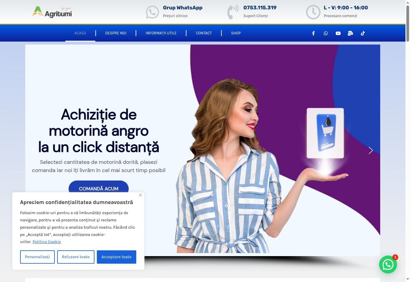 Preview Motorină Online — prezentarea website-ului